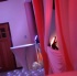 playtime_bunnies_mar31-020