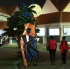 tobago_jazz_experience_2012-012