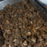 tribe_oink_dec2-079