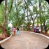 beach_house_bim_2013-010