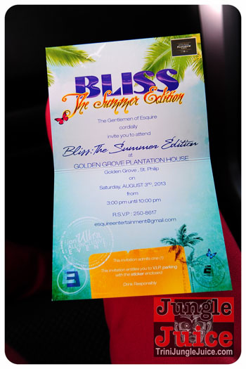 bliss_2013_pt1-002