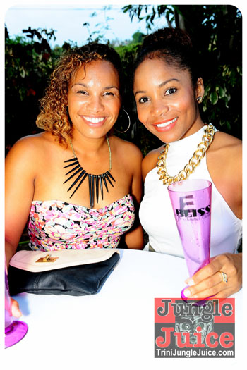 bliss_2013_pt1-008