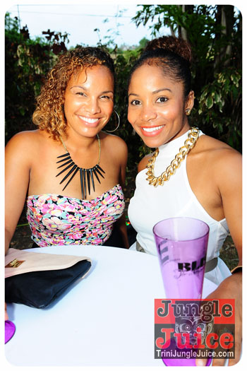 bliss_2013_pt1-009