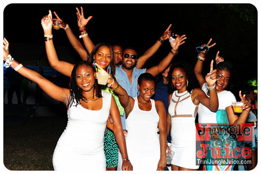 bliss_2013_pt1-180