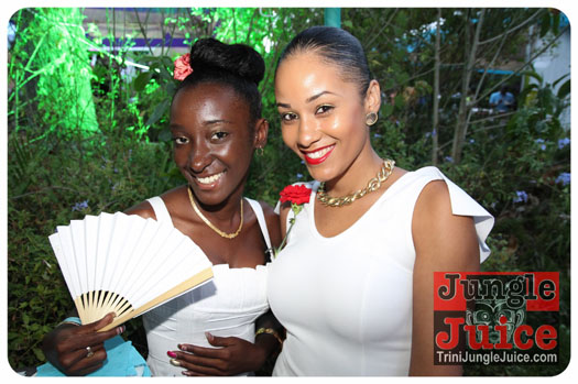 bliss_2013_pt2-003