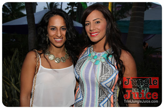bliss_2013_pt2-008