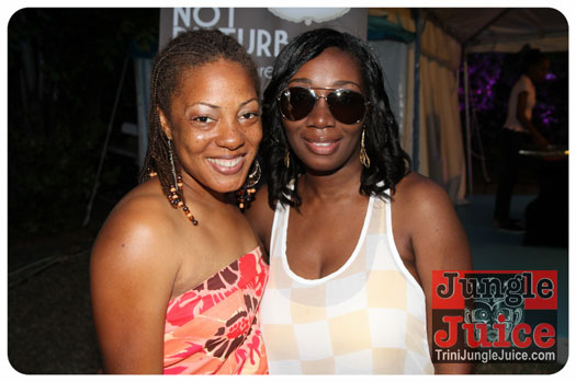 bliss_2013_pt2-014