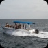 booze_cruise_2013-152