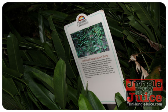 lush_aug1-010