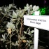 lush_aug1-025