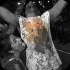 mix_nuts_2013_pt1-155