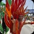 hollywood_carnival_parade_pt2_2013-066