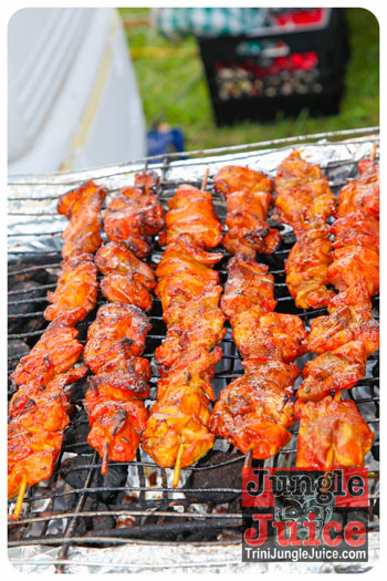 palm_beach_carnival_2013-215
