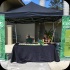 palm_beach_carnival_2013-010