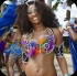 palm_beach_carnival_2013-035
