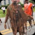 whyte_angels_miami_2013_pt2-048