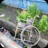 spicemas_jouvert_2013_pt1-170