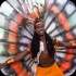 spicemas_tuesday_2013_pt2-147