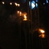 kampai_2013-005