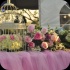 sugarcanes_blossom_may26-012