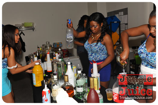 verve_2013-107