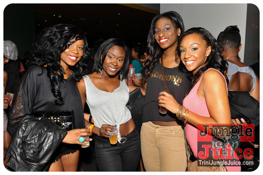 verve_2013-113