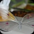 verve_2013-005