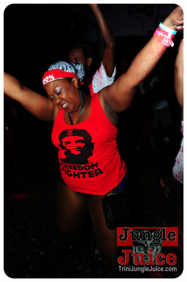 am_bush_2013-014