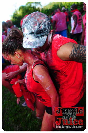 am_bush_2013-085