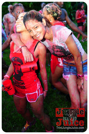 am_bush_2013-093