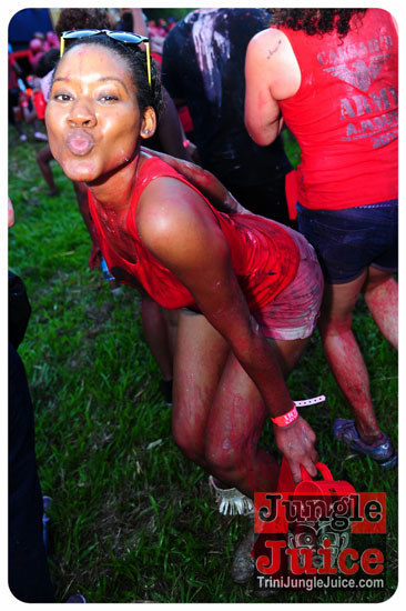 am_bush_2013-094