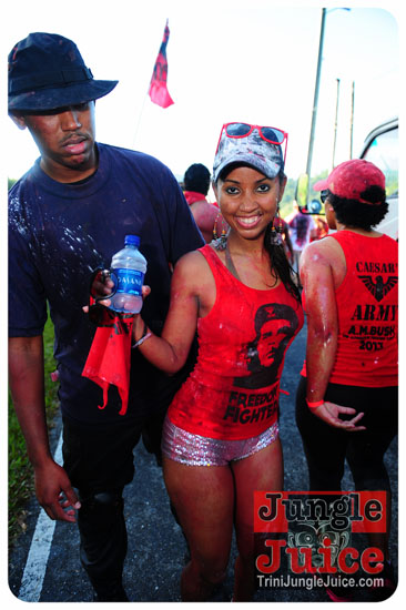 am_bush_2013-129