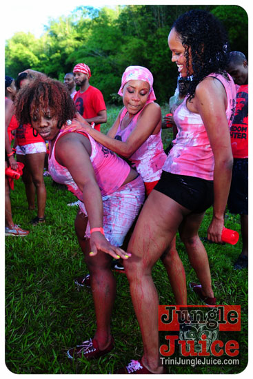 am_bush_2013-149