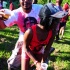 am_bush_2013-082