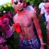 am_bush_2013-084