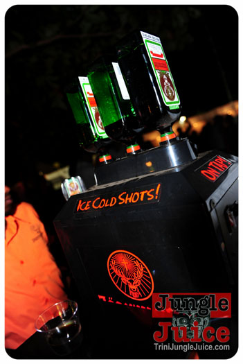 beach_house_carnival_2013_part3-157
