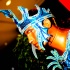 carnival_city_saturdays_2013-083