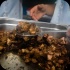 dining_with_the_saints_jun29-031