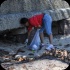 international_coastal_clean_up_sep21-068