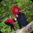 international_coastal_clean_up_sep21-114