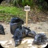 international_coastal_clean_up_sep21-121