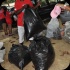 international_coastal_clean_up_sep21-172