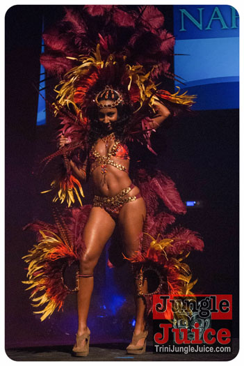 island_people_2014_band_launch-054