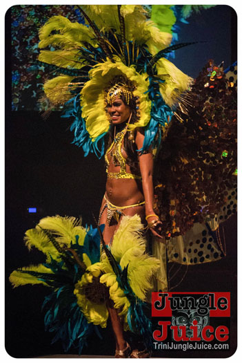 island_people_2014_band_launch-138