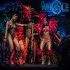 island_people_2014_band_launch-202