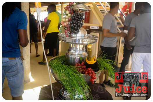 le_chandon_2013-001
