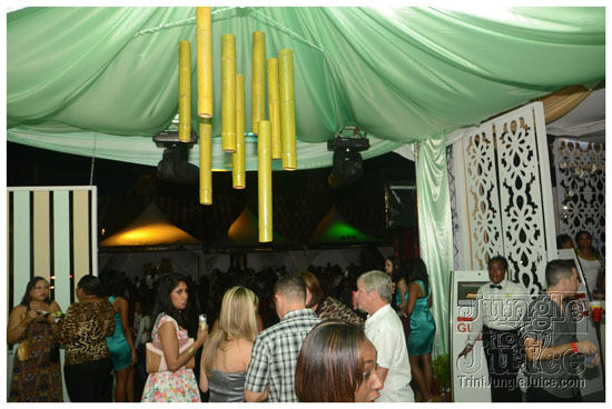 one_fete_2013-270