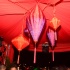 one_fete_2013-267
