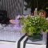 one_fete_2013-289