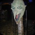 spooked_2013-013